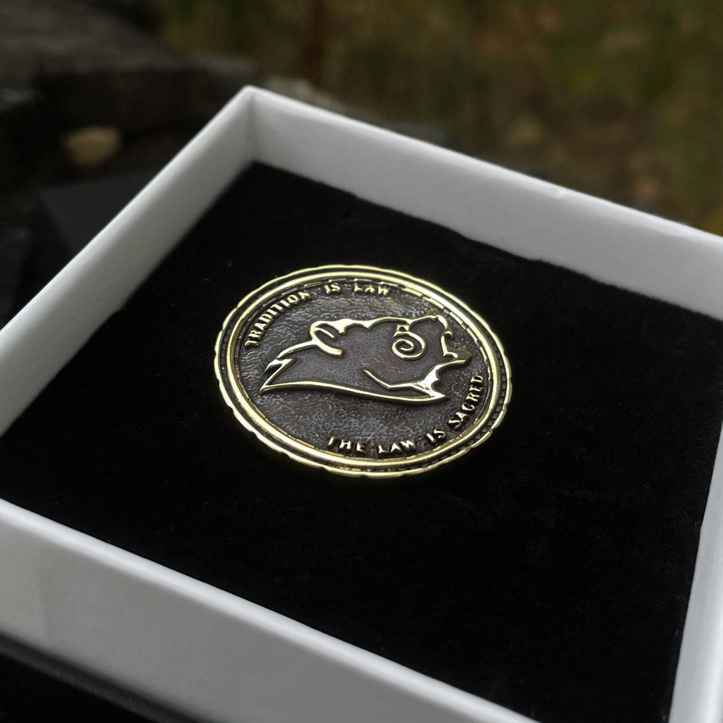 Sterling silver Stormcloak Coin