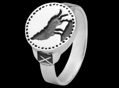 {{jewelry_for_geeks}} - {{ GameFanCraft}} Ring Silver Dark Souls Wolf Ring